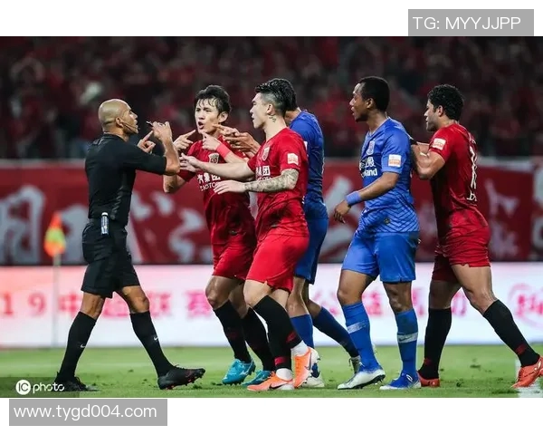 北京排球队节奏引发热议球迷与专家观点大碰撞