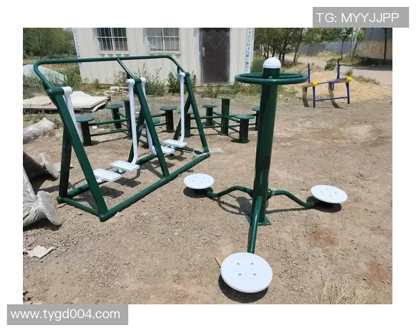 黑龙江小型健身器材家用场景适配