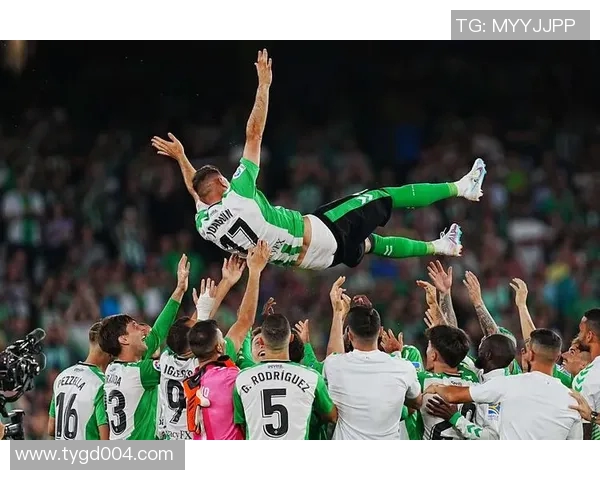 西甲联赛历史出场纪录与球员分析 西甲联赛历史出场纪录与球员分析