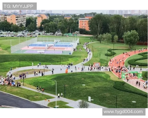 青衣运动场建设提升城市体育文化活力推动全民健身事业发展新机遇