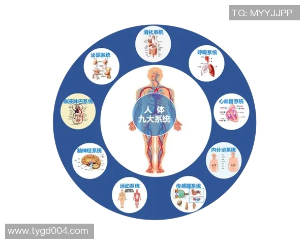 心肺功能在健康管理中的核心作用及其影响因素分析