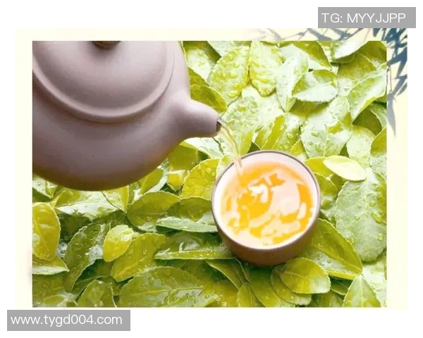 茶叶的千年传承与现代创新融合探索如何品味与制作茶的艺术